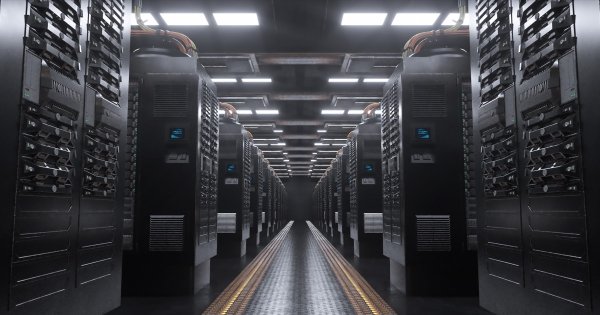Affordable Dedicated Hosting: A Complete Guide
